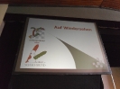 Schulschachcup 2011